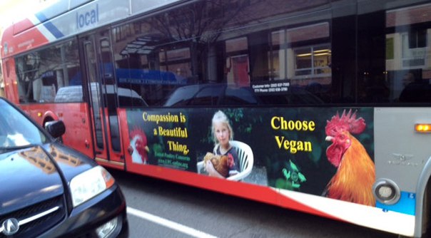 reklama_veganstva_na_avtobusah.jpg