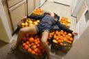 последствия фруктоедения